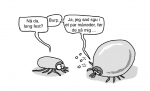 Illustration fra bogen